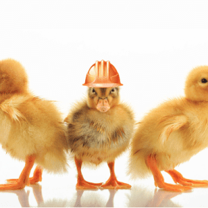 Maryland Contractors Exam Maryland Contractors Exam